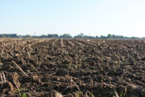 soil for cultivated land